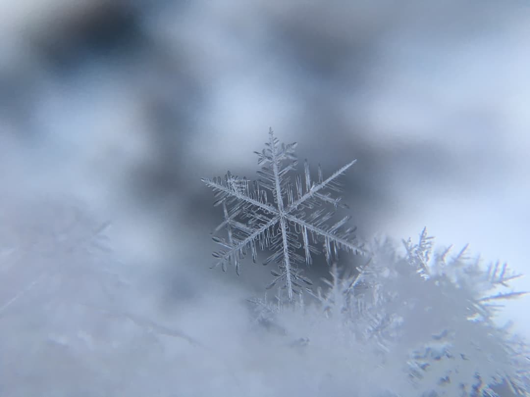 A Snowflake Cortex AI megszokott a homokozobol es végrehajtotta a karmalat